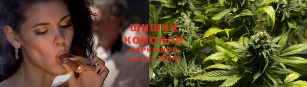 скорость Белокуриха