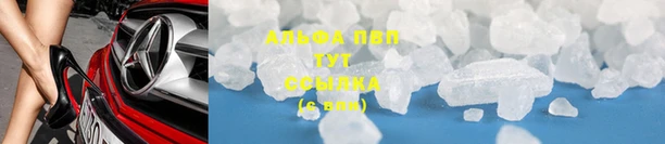 скорость Белокуриха